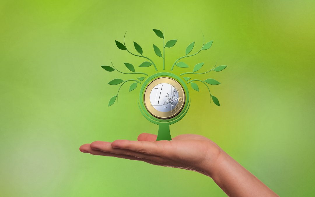 Nachhaltig investieren – Aber wie geht das?